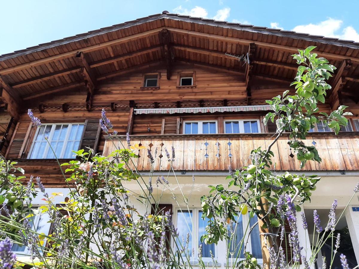 Apartamento Cozy Chalet By Interlaken. Parking Ringgenberg Exterior foto